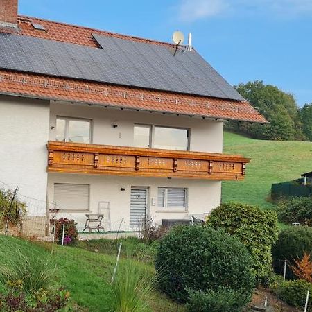 Ferienwohnung Im Gruenen Heppenheim  Kültér fotó